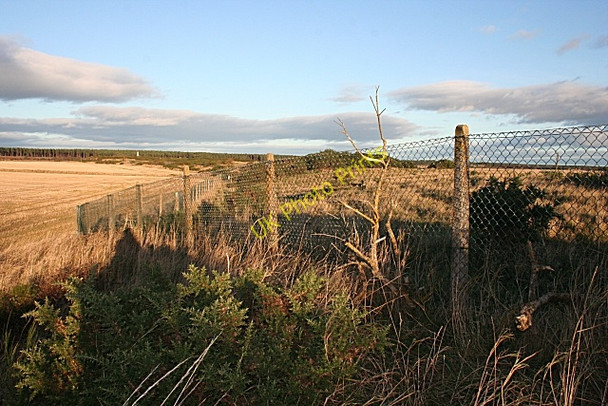 Photo 6"x4" Perimeter Fence Darkland c2008