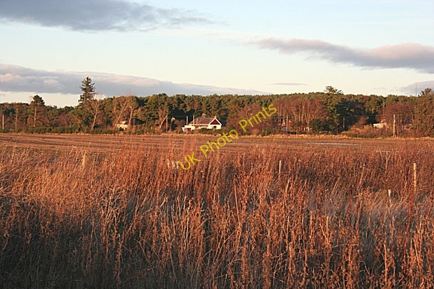 Photo 6"x4" Longhill from Darkland Darkland c2008