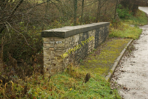 Photo 6"x4" Bridge 333 Llangammarch Wells c2008