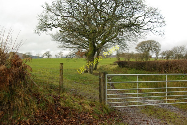 Photo 6"x4" Towards the Roman road Beulah\/SN9251 c2008