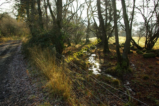 Photo 6"x4" Bridleway and stream Builth Wells\/Llanfair-Ym-Muallt c2008
