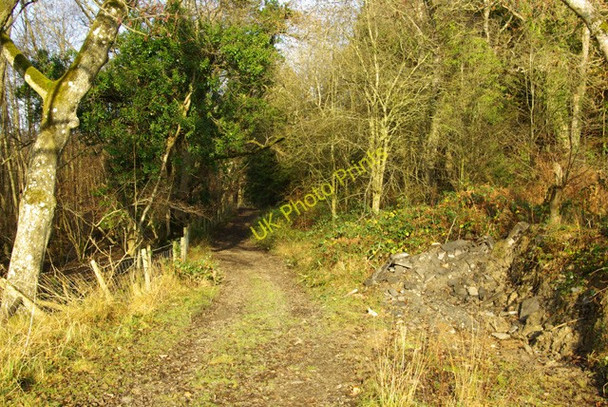 Photo 6"x4" Bridleway continues north Builth Wells\/Llanfair-Ym-Muallt c2008