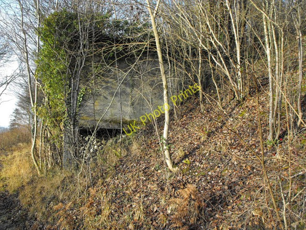 Photo 6"x4" Old Workings on the Bridleway Builth Wells\/Llanfair-Ym-Muallt c2008