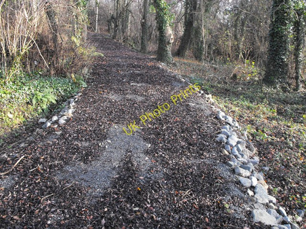 Photo 6"x4" Back up the bridleway Builth Wells\/Llanfair-Ym-Muallt c2008