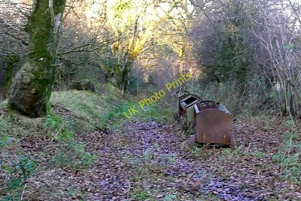 Photo 6"x4" Bridleway past Neuadd Birches Disserth c2008
