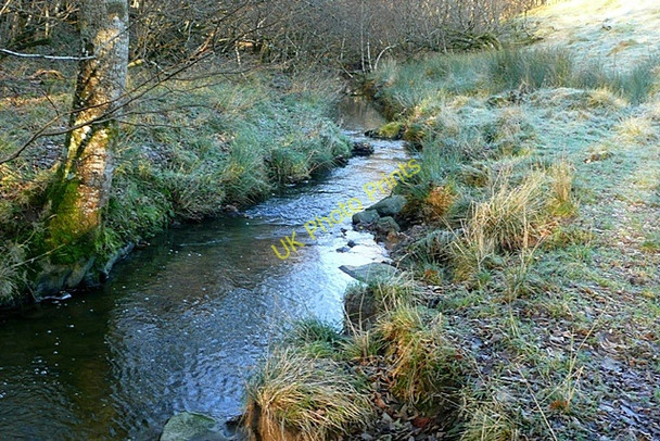 Photo 6"x4" Stream at Ysgubor Wood Disserth c2008