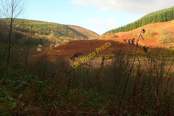 Photo 6"x4" Cwm Cammarch Lan Isaf c2008