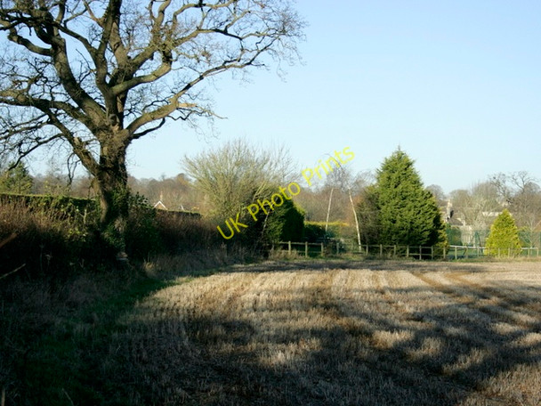 Photo 6"x4" 2008 : Field near Biddestone Biddestone c2008