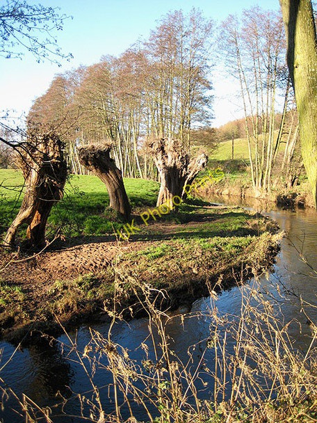 Photo 6"x4" River Leadon, upstream at Ketford Ketford c2008
