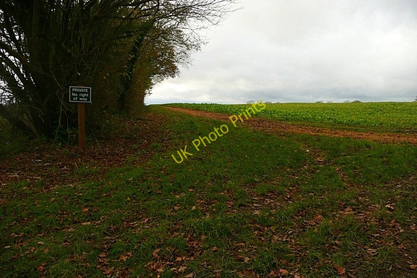 Photo 6"x4" This is not the footpath Tangley c2008