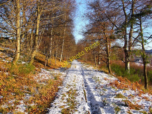 Photo 6"x4" Old West Drive to Lawers House Fordie\/NN7922 c2008