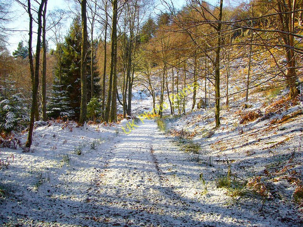 Photo 6"x4" Old West Drive to Lawers House Comrie\/NN7722 c2008