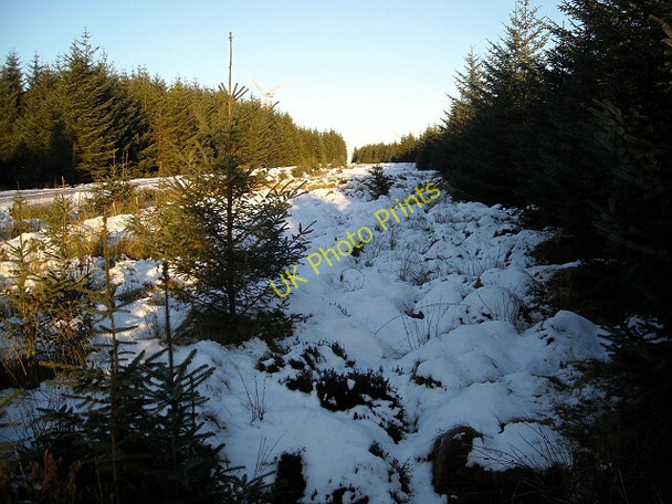 Photo 6"x4" Whitelee Forest Laird's Seat\/NS6045 c2008