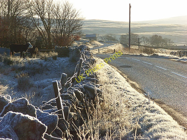 Photo 6"x4" The B6277 above Garrigill Garrigill c2008
