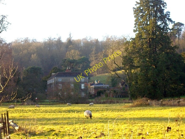 Photo 6"x4" Old Colwall Colwall c2008