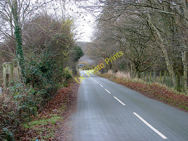 Photo 6"x4" The lane from Mochras to Llanbedr Llanbedr\/SH5826 c2008