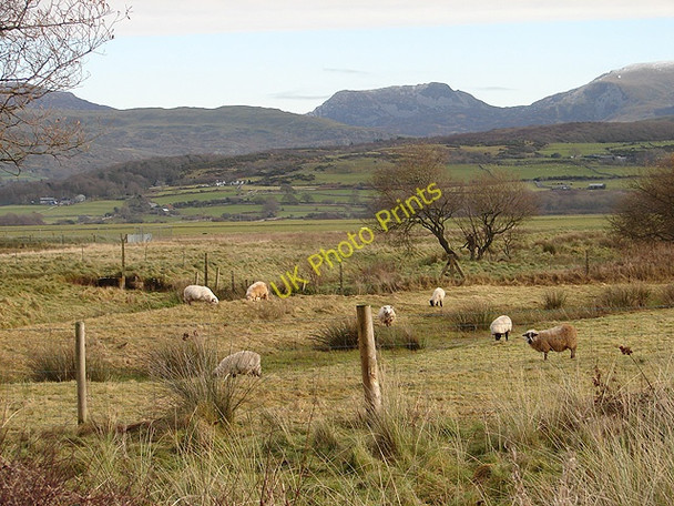 Photo 6"x4" Farmland beside Llanbedr Airfield Llanbedr\/SH5826 c2008