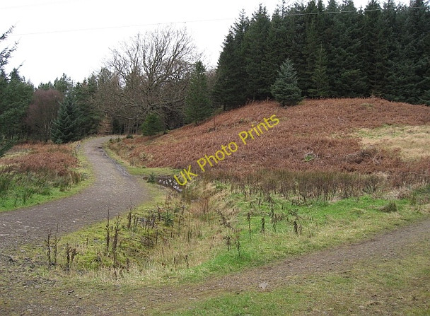 Photo 6"x4" Track Junction Blanefield\/NS5579 c2008