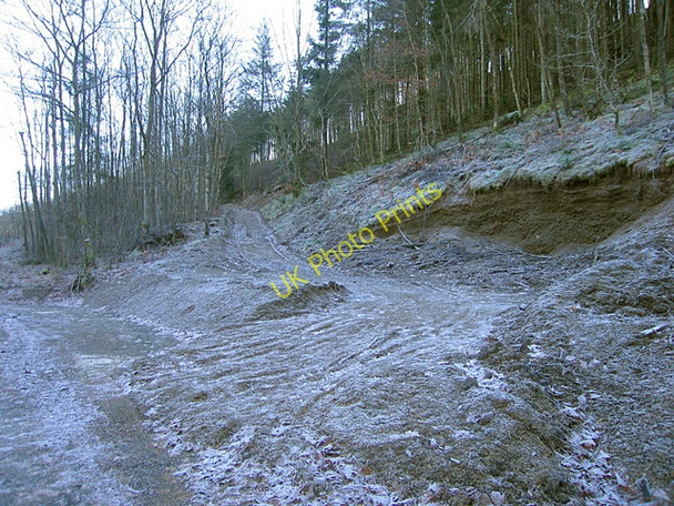 Photo 6"x4" Coed Cilmeddu New Row\/Rhes Newydd c2008