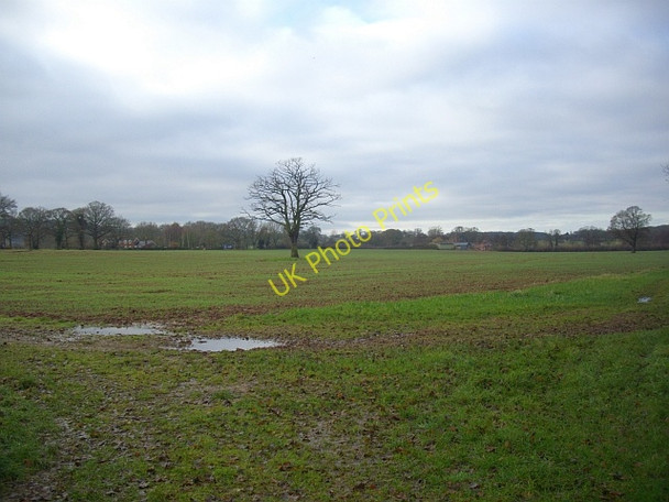 Photo 6"x4" Field near The Reddings Ham Green\/SO7444 c2008
