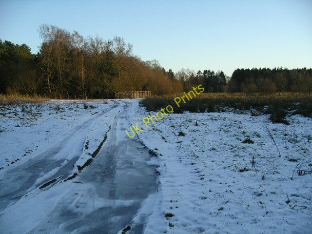 Photo 6"x4" Frozen track near Castle Loch Lochmaben c2008