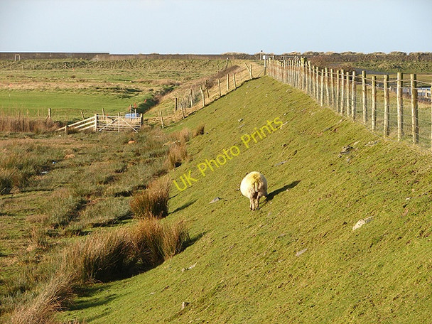 Photo 6"x4" The path from Morfa Mawddach to Ro Wen Barmouth\/Abermaw c2008 P1