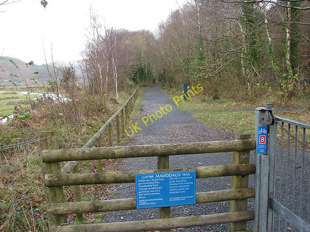Photo 6"x4" The Mawddach Trail heading eastwards from Penmaenpool Penmaenpool c2008