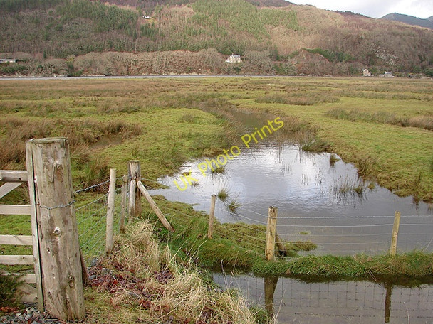 Photo 6"x4" Marshland beside the Mawddach Trail Hawddamor c2008