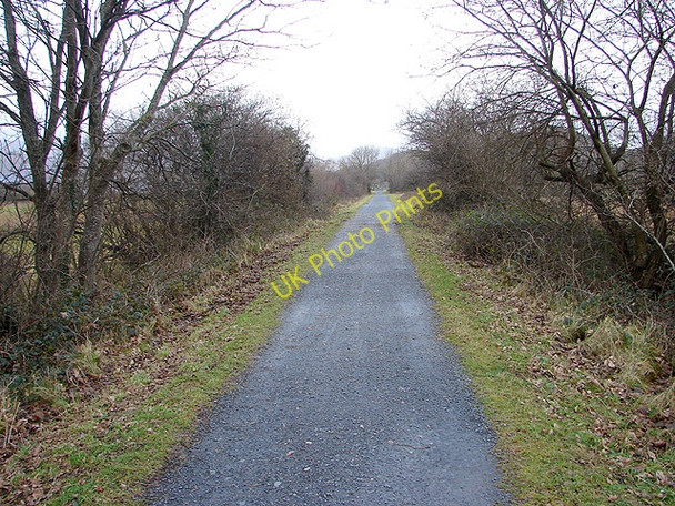 Photo 6"x4" The Mawddach Trail looking towards Morfa Mawddach Barmouth\/Abermaw c2008