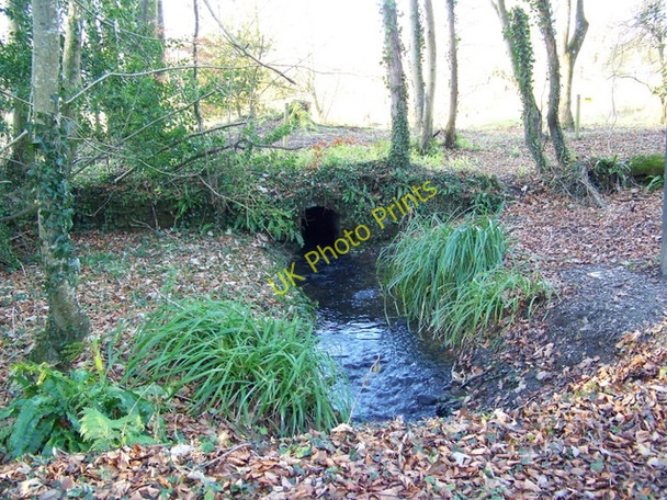 Photo 6"x4" River Cerne, Minterne Parva Minterne Parva c2008