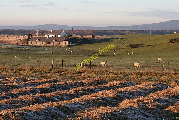 Photo 6"x4" Dykeside Croft Cottages Paddockhaugh c2008
