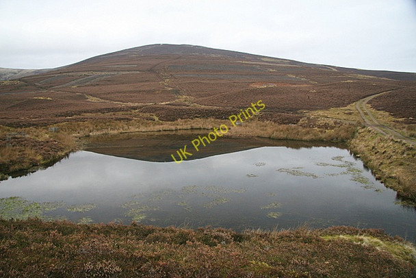 Photo 6"x4" Pond looking towards Long Goat Ascreavie c2008