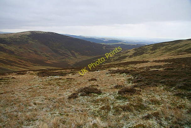 Photo 6"x4" The Glen of Corogle Ascreavie c2008