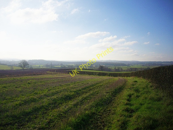 Photo 6"x4" Footpath to Sneedfield Leddington c2008