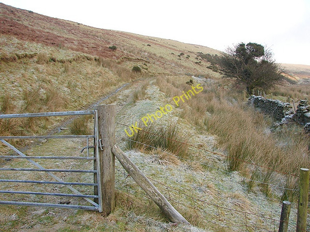 Photo 6"x4" Gate and track in Cwm-Llinau Aberangell c2008