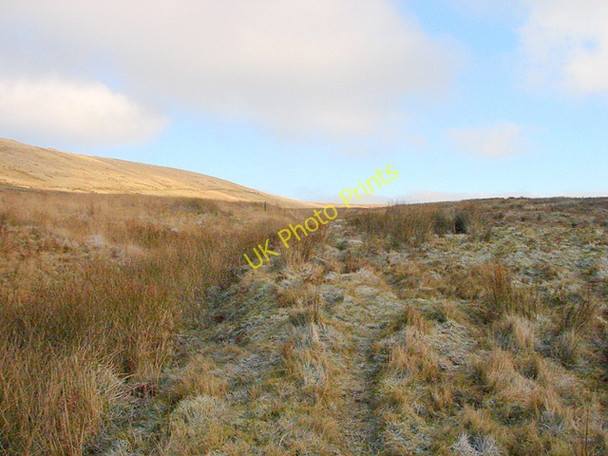 Photo 6"x4" The Waun Llinau upland bog Aberangell c2008