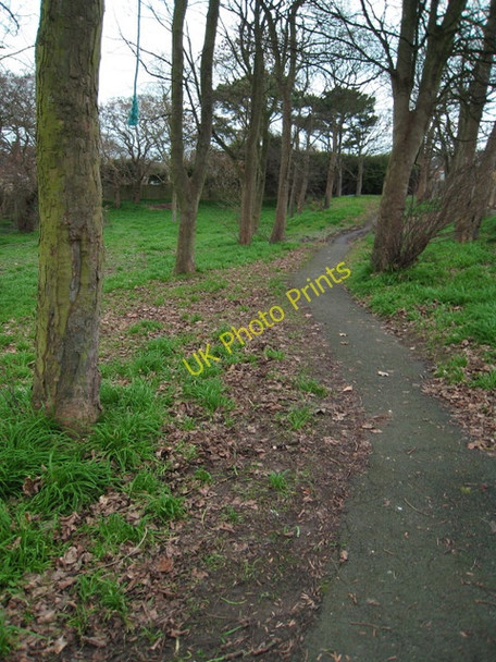 Photo 6"x4" Woodland, Bangor Groomsport c2008