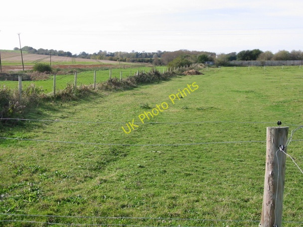 Photo 6"x4" View towards Eastry Statenborough c2008
