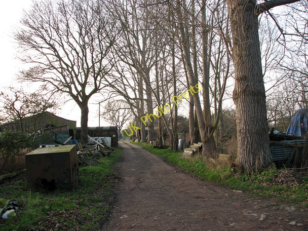 Photo 6"x4" Driveway turning off Cess Lane Mustard Hyrn c2008