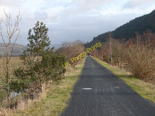 Photo 6"x4" The Mawddach Trail Hawddamor c2008