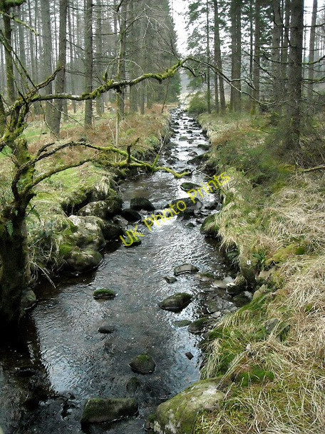 Photo 6"x4" Pulnagashel Burn Glentrool Village c2008
