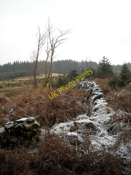 Photo 6"x4" Wall in Glentrool Forest Glentrool Village c2008