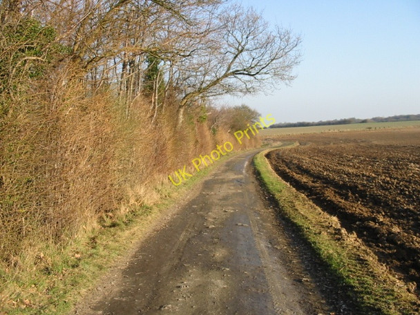 Photo 6"x4" Bridleway and farm road on Cooting Down Adisham c2008