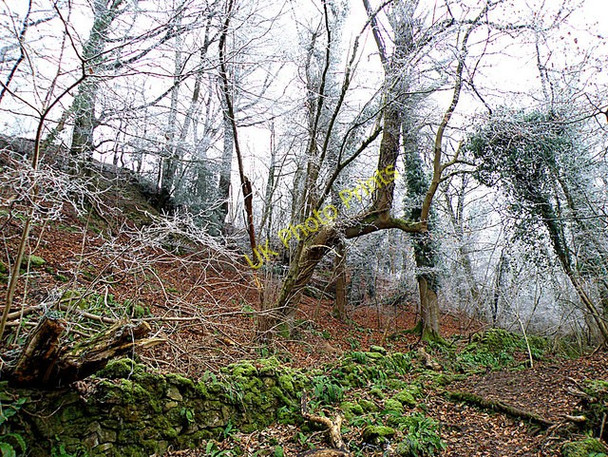Photo 6"x4" Coppet Hill Goodrich c2009