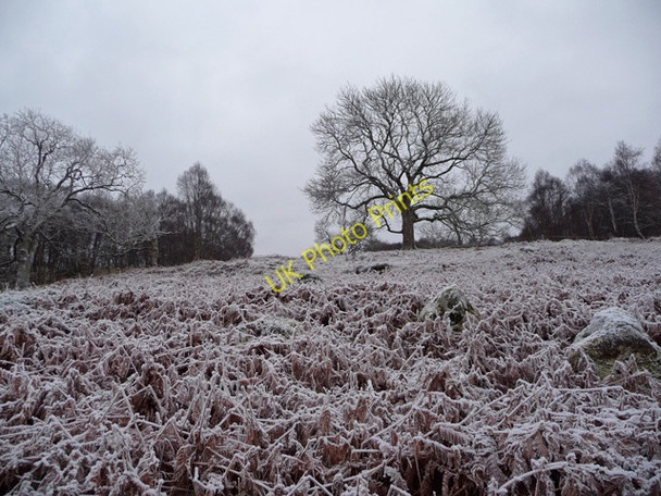 Photo 6"x4" Hillside south of Srath Ascaig Achmore\/NG8533 c2008