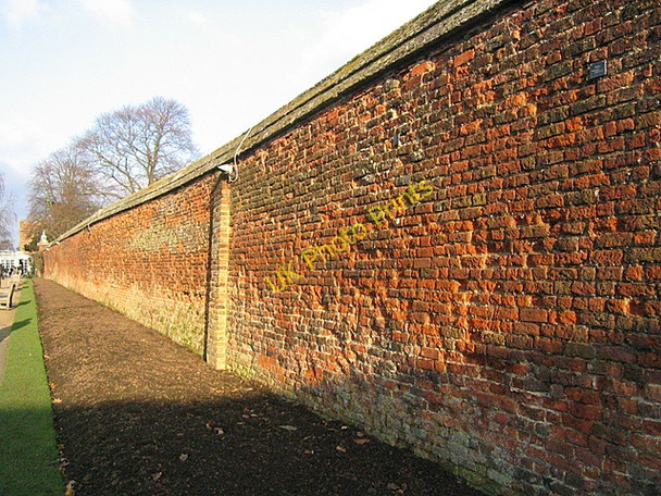 Photo 6"x4" Rose Garden wall, Hampton Court Palace Surbiton c2008