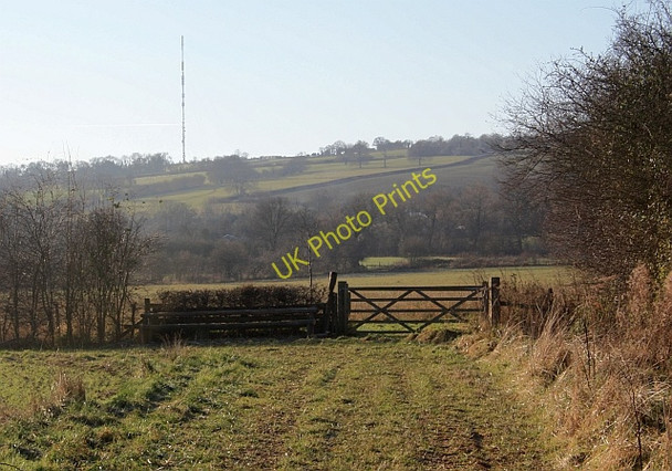 Photo 6"x4" Horse jump near Hall Court, Rushall Rushall\/SO6434 c2009