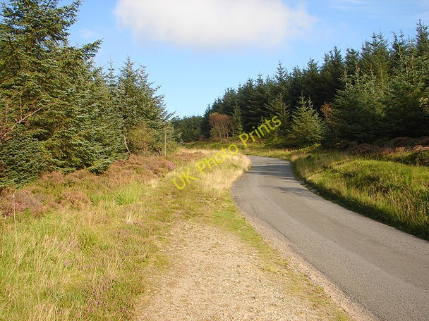 Photo 6"x4" Narrow road heading for Banc y Garn and Ponterwyd Cwmsymlog c2008