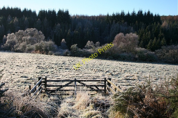 Photo 6"x4" Field Gate in Frost Auchinderran\/NJ4055 c2009