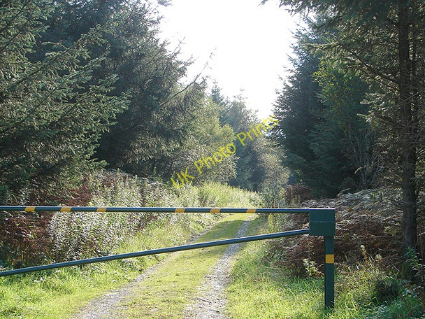 Photo 6"x4" Gated forestry track Pen-bont Rhydybeddau c2008